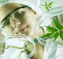 آزمایشگاه   گیاه و فیزیولوژی گیاهی